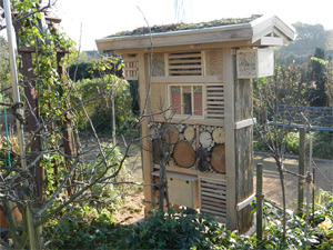 Insektenhotel